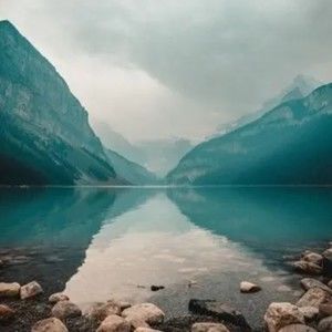 Meet your Posher, Bobby